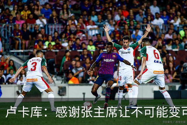 卢卡库：感谢张主席让不可能变可能 会全力帮国米